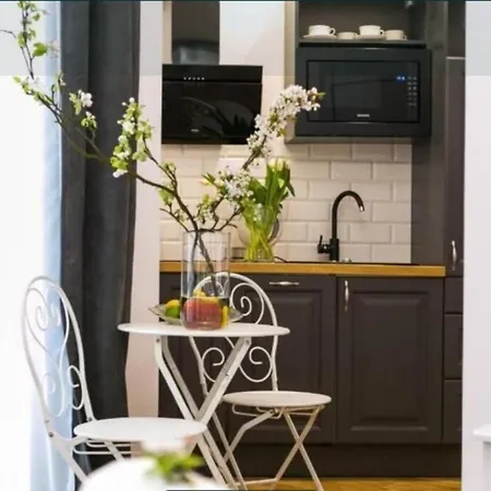 Apartment Charming Elite Wielopole Old Town Studio