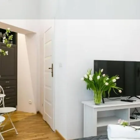 Charming Elite Wielopole Old Town Studio Krakow
